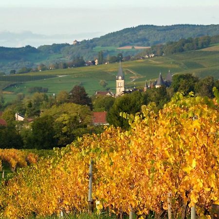 Gite Le Douglas, Vignoble Et Reculees Du Jura - Avec Sauna Lavigny Exteriör bild