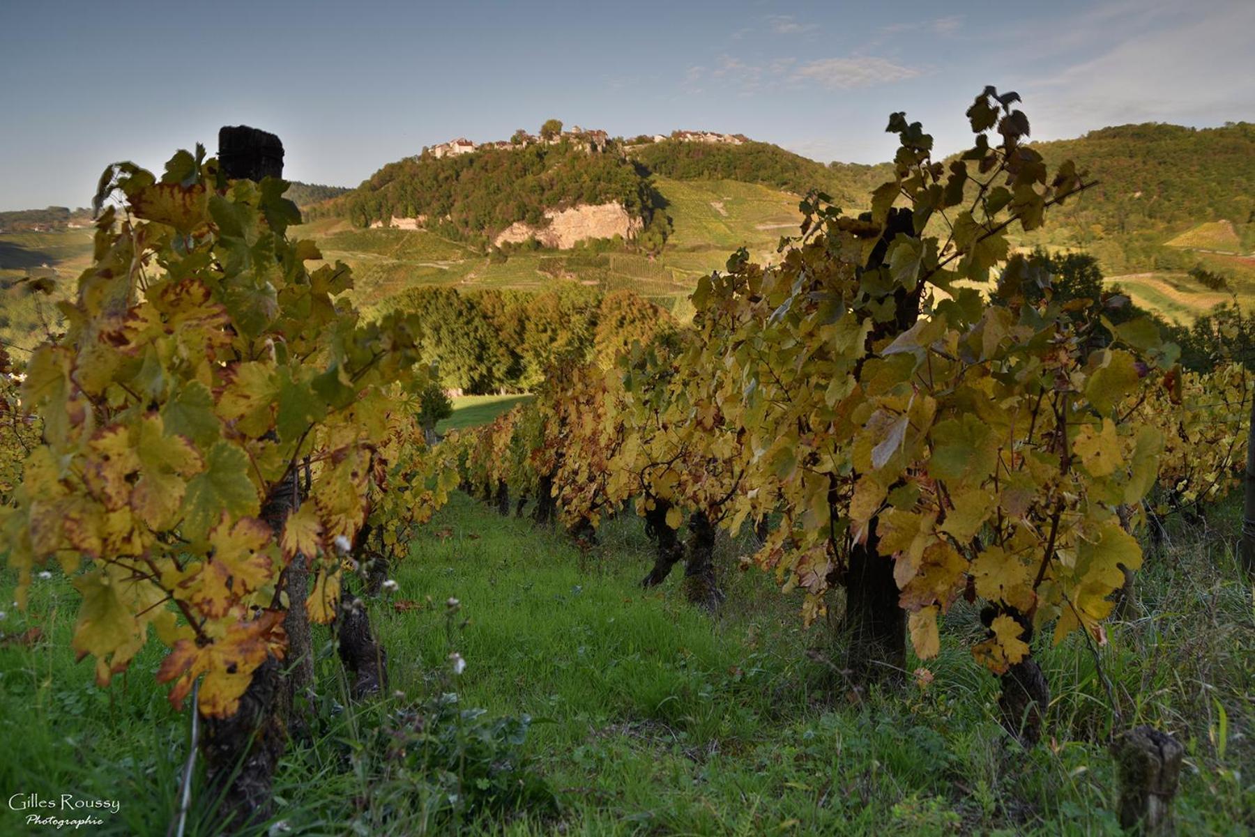 Gite Le Douglas, Vignoble Et Reculees Du Jura - Avec Sauna Lavigny Exteriör bild
