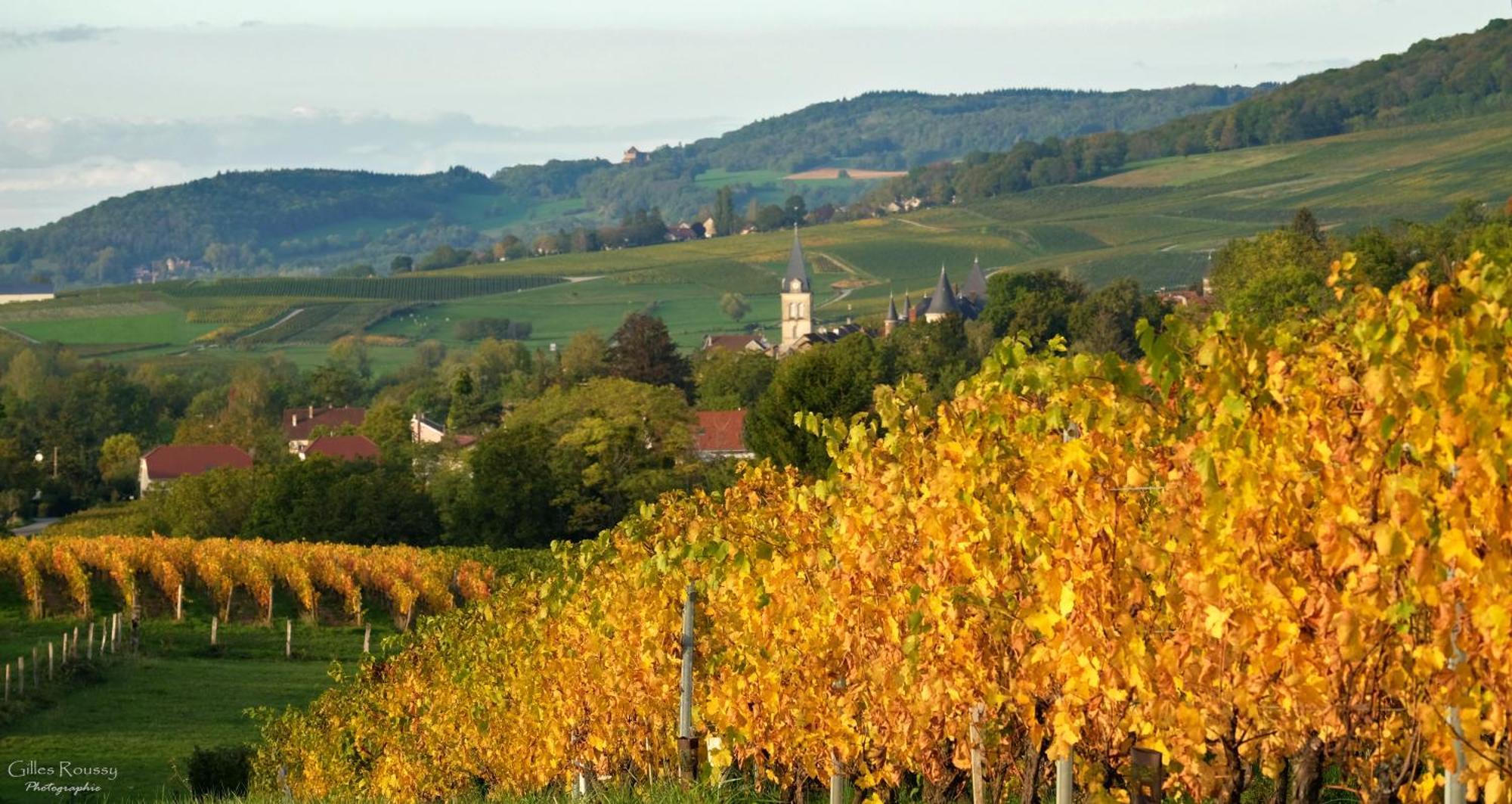 Gite Le Douglas, Vignoble Et Reculees Du Jura - Avec Sauna Lavigny Exteriör bild